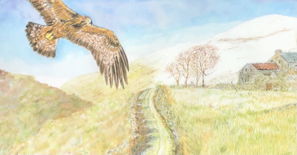 Golden Eagle