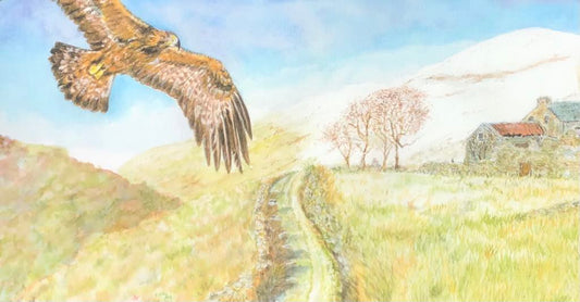 Golden Eagle