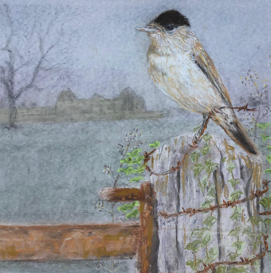 Black cap
