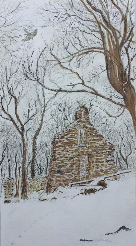 Gosshawk at white church